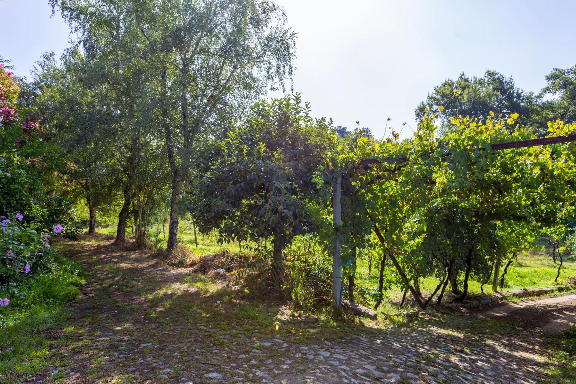 Quinta Da Comenda 사오페드로도술 외부 사진